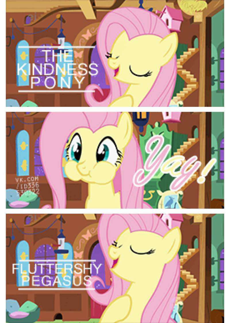 Fluttershy Pegasus