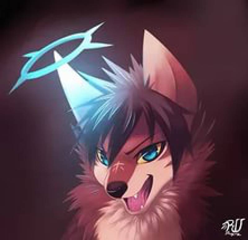 Припятский Лис