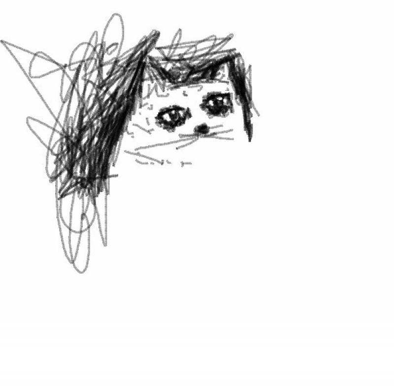 Даша Золотце