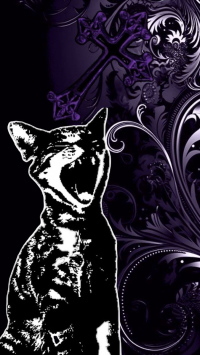 ~ [шАлУнИшНо_О] ~