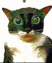 КрутойМайнанимепацана УбийцаассасинкрутойМегасуперпрофессионалЕгор