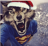 Илья Дурманов