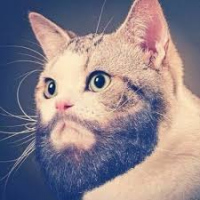 Влад Имирский