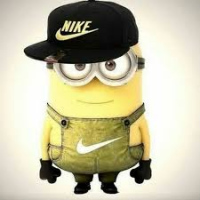 медведь ноконович