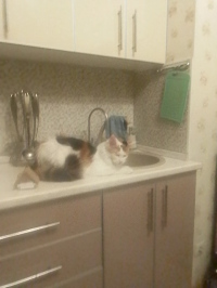 Маруся Плужникова