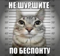 Богдан Франк