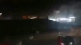 alerta de macaco
