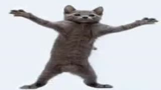 Танцующие Коты
