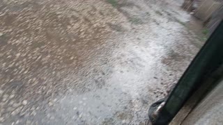 VID_20250630_123941.mp4